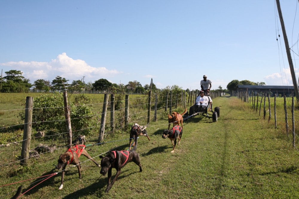 Falmouth ATV adventure, Jamaica